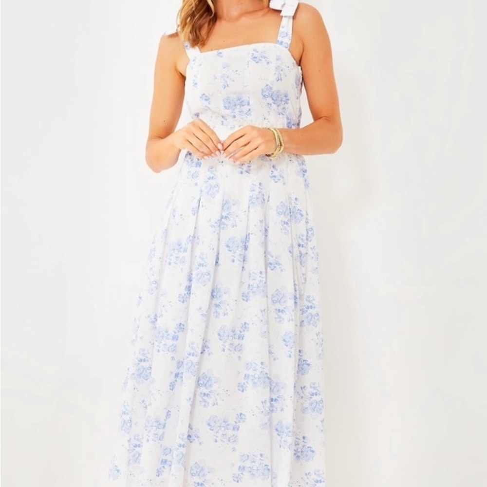 Blue Chintz Teagan Midi Dress - Blue Chintz / XXL